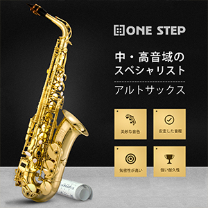 Amazon.co.jp: Alto Saxophone 11-Piece Set, Gold Lacquer with
