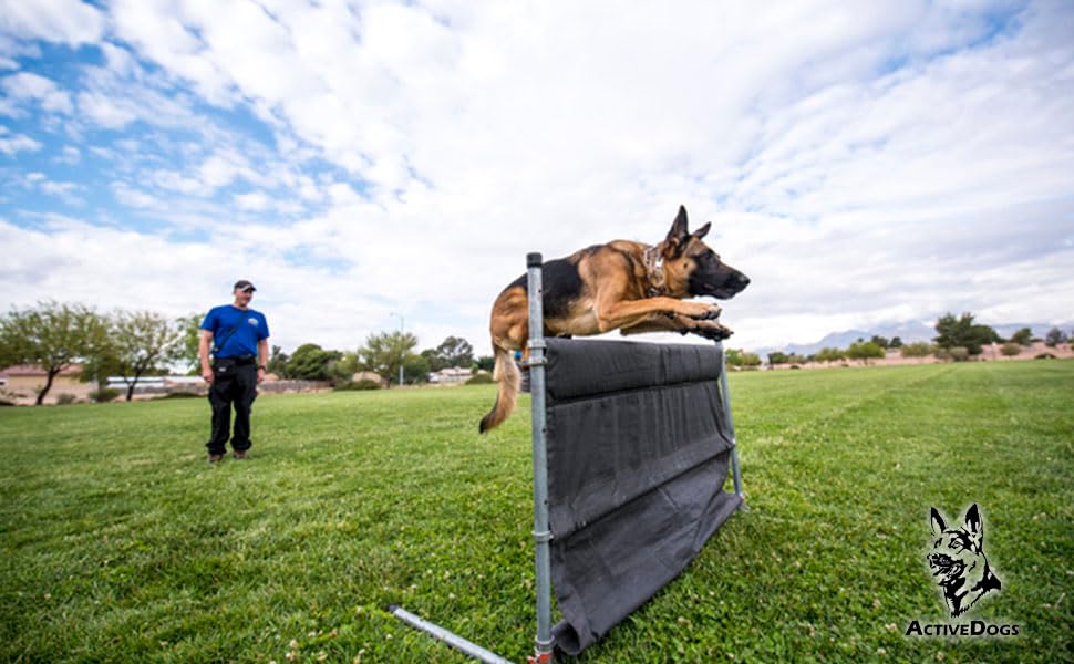 IGP IPO Schutzhund Deluxe Hurdle Jump w