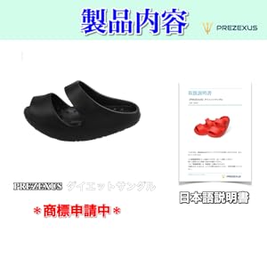 日本語説明書