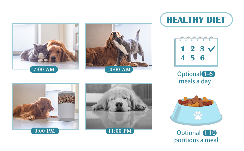 Peteme Automatic Cat Feeder, Smart Pet Feeder for Small