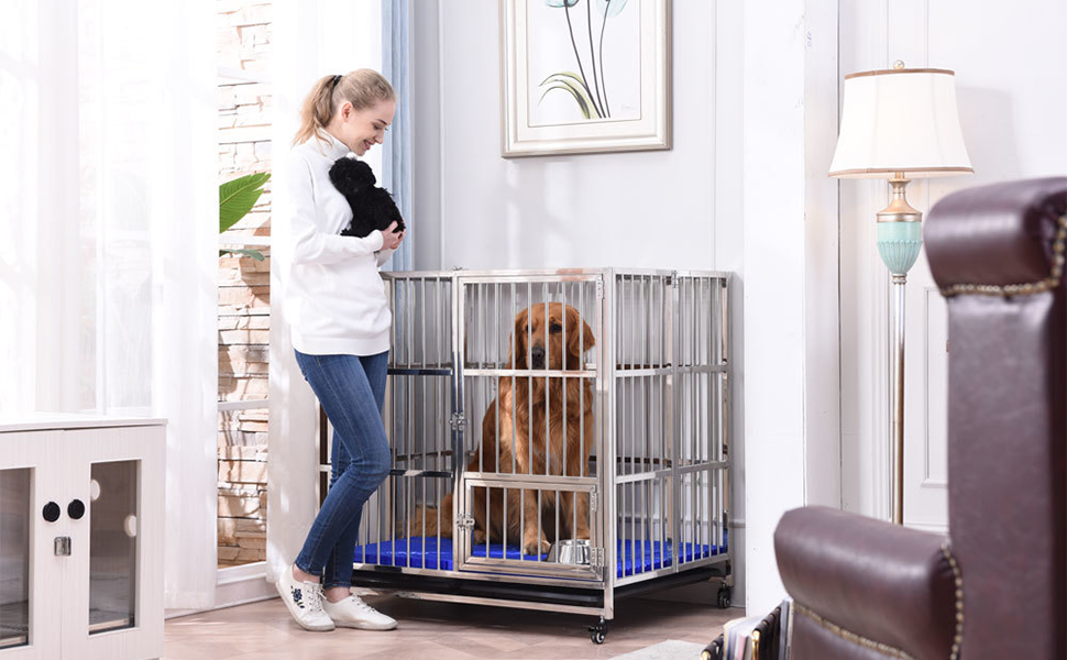 PAMPELLYA Heavy Duty Dog Kennel, Strong Metal Crate with 4