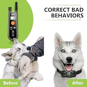 dog care dog training collar with remote training collar for dogs 