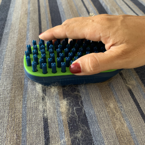 dog brush furniture clothes fur hair