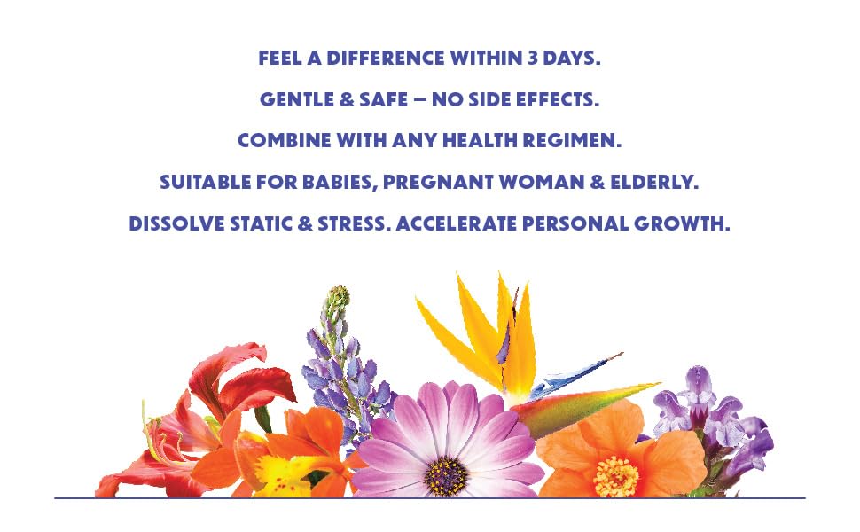 LOTUSWEI Inspired Action Flower Essence Elixir Enhance