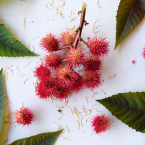 Small manufacture image 6