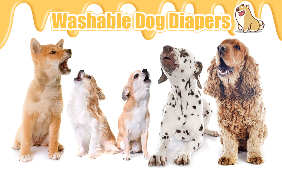 Wedding Pails Female Dog Diapers,4 Pack Reusable Puppy