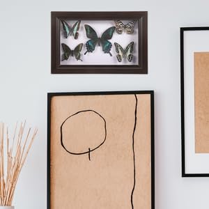 Amazon | JECOMPRIS 手作り標本 photo frame 壁掛けの蝶の標本