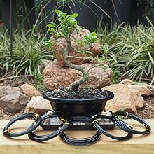 Bonsai Wire Starter Set Kit for Beginners