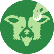 dog and cat ear cleaner