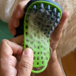 removable cover dog brush curry massage groom grooming bathtime bath washing cleaning