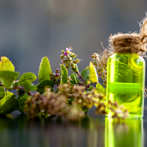 Small manufacture image 2