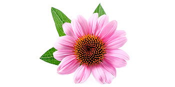 PhytoImmune