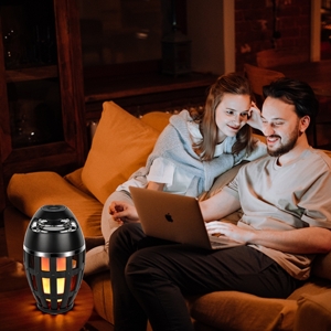 Outdoor Bluetooth Speaker rock