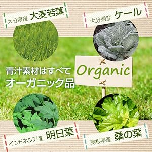 Amazon | nichie 有機 青汁 大麦若葉 ケール 桑の葉 明日葉 100