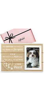 Cat/Dog Memorial