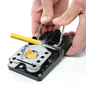 Small manufacture image 2