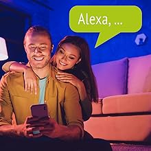 Funkion 4 - Steuerung des Lichts pro Sprachbefehlen