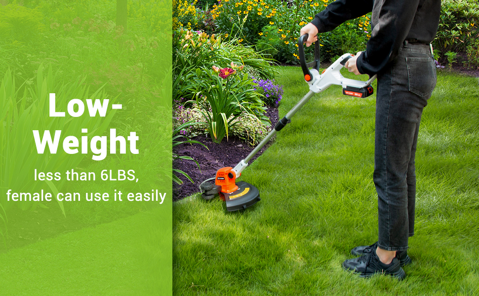 PAXCESS String Trimmer/Edger with 2 PCS 2.0Ah Battery, 6