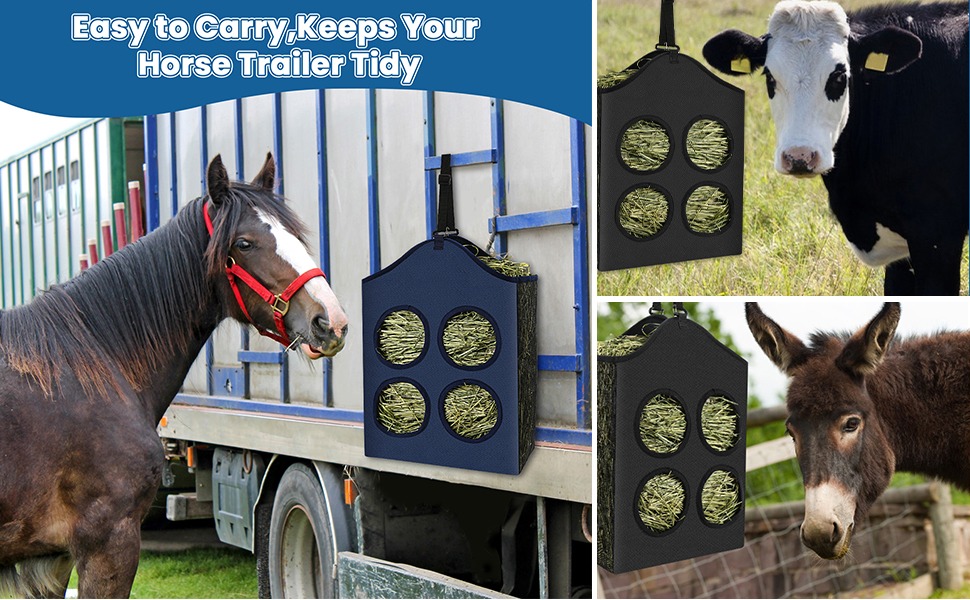 Maintain a clean and comfortable environment