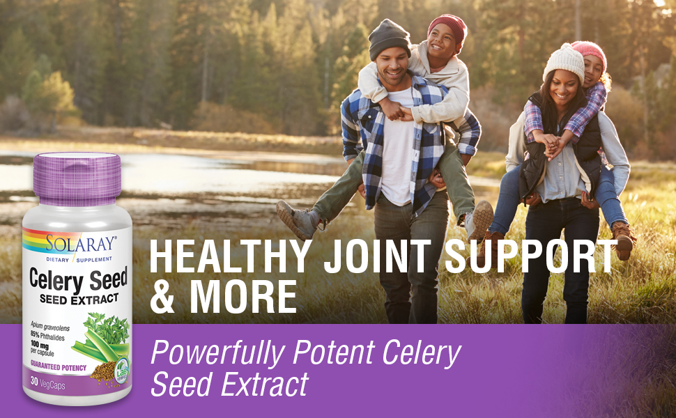 Solaray Celery Seed Extract 100 mg 85% Phthalides Overall Joint Health Support Non-GMO Vegan