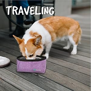 pet food bowl water bowl for traveling