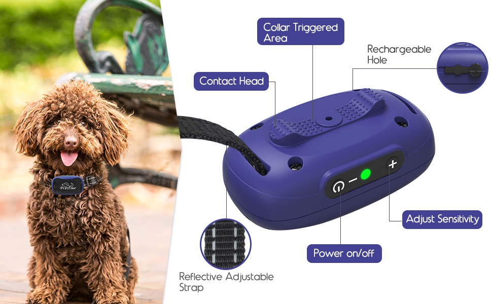 collar for small dogs