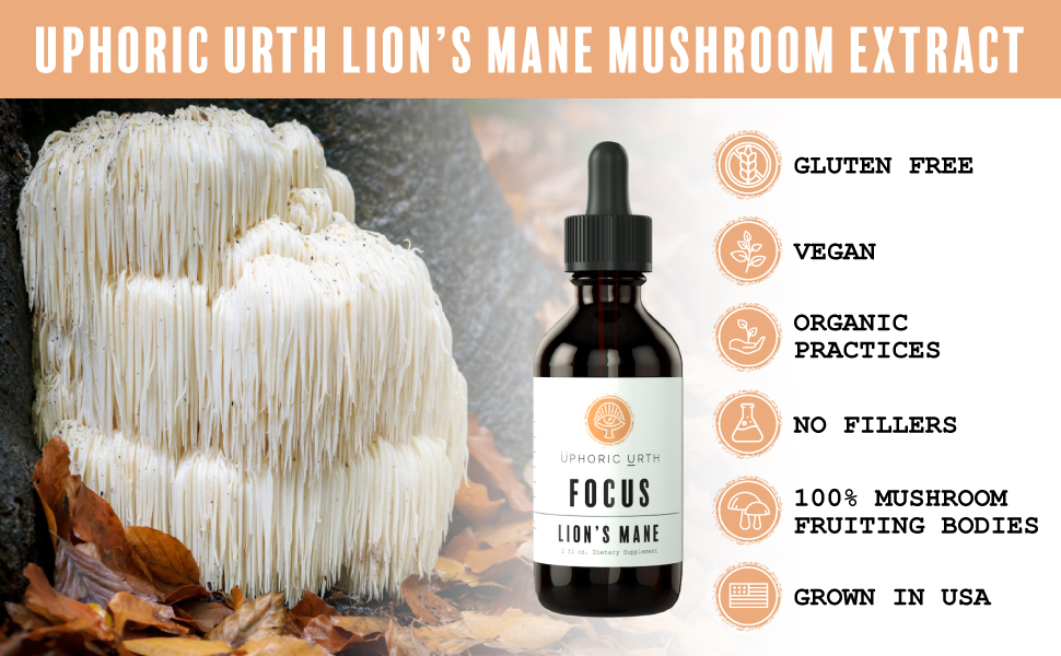 lions mane, mushroom tincture