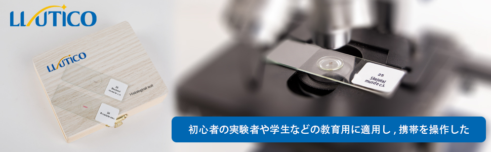 組織学 Amazon | Llutico 25枚の組織スライス 標本 プレパラート基礎