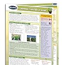 Growing Cannabis Guide by Permacharts