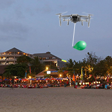 Beach Party