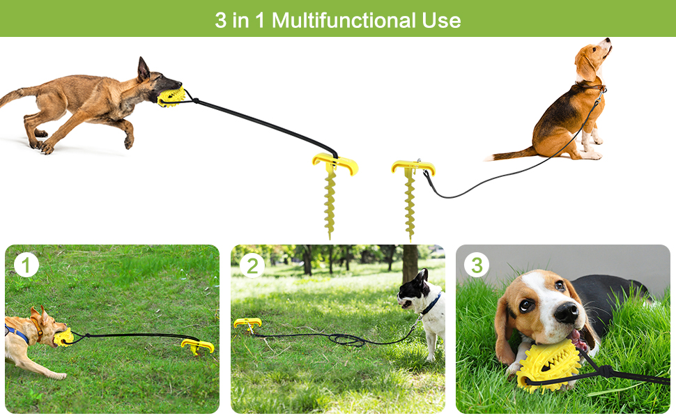 Pet Supplies Pecute Dog Tie Out Cable and Stake, 3 in 1 Dog Molar