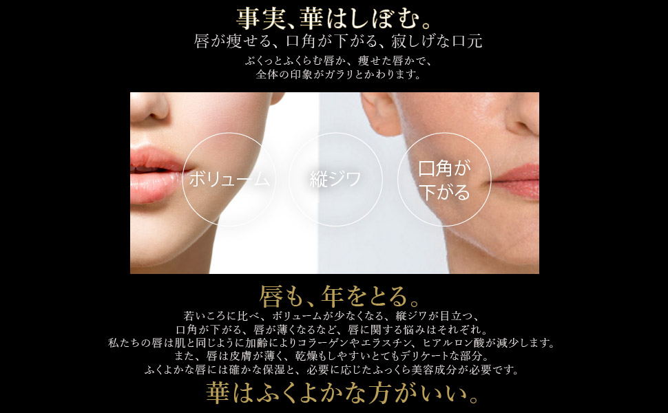 Amazon Co Jp カケヒキ モティブリッププランパー プレーン 501 Himawari ベージュ 6ml ビューティー Amazon Co Jp カケヒキ モティブリッププランパー プレーン 501 Himawari ベージュ 6ml ビューティー