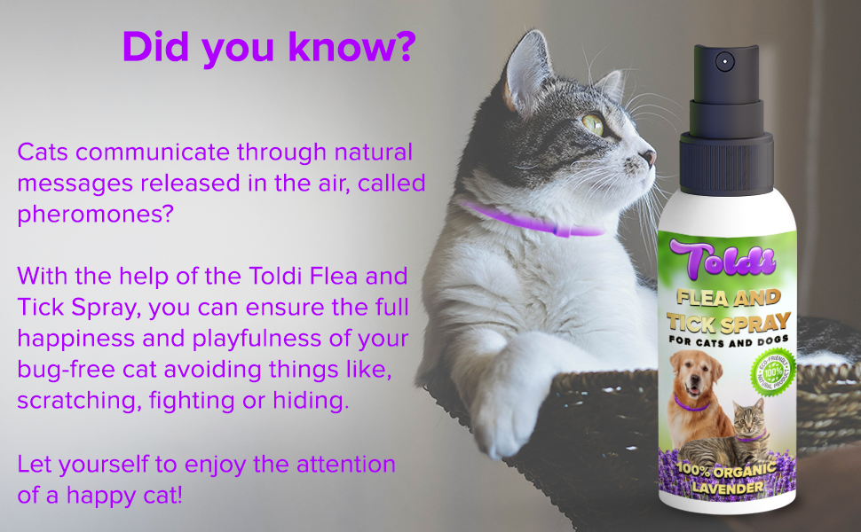 Flea Spray used as Dog Flea & Tick Treatment Flea Treatment for Cat