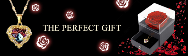 Galaxy Enchanted Rose with Led Light