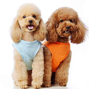 dog grooming scissors