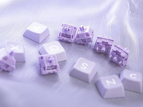 Amazon | EPOMAKER KTT Macaronシリーズ メカニカル ゲーミング