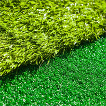 grass