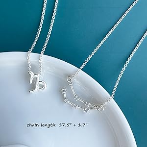 Silver Zodiac Necklace
