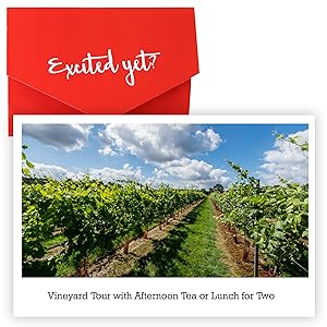 Afternoon tea, wine tasting, vineyard tour, gifts for couples, birthday gifts, gift experiences