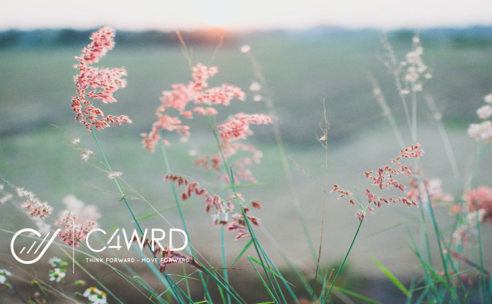 bambus, pad, abschmink, wiederverwendbar, waschbar