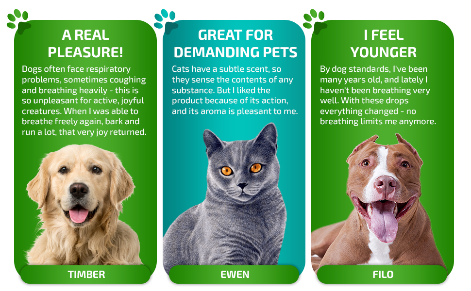 Pet reviews
