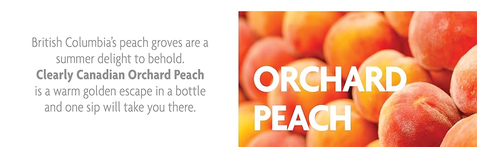 Clearly Canadian Orchard Peach Sparkling Spring Water Beverage, Natural & Carbonated, Flavored Seltzer Water, 1 Case (12 Bottles x 325mL) clearly canadian orchard peach