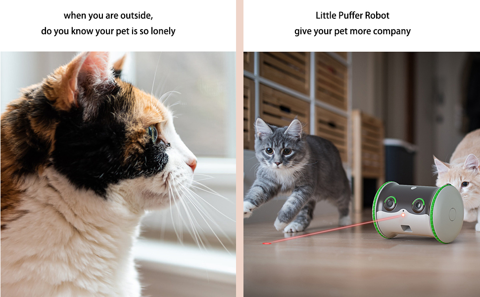 Dale a tu mascota mejor amor y cuidado.