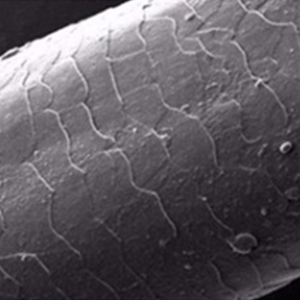 healthy hair material