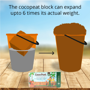 cocopeat brick