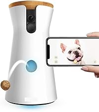 Pet cam