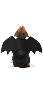 dog costume