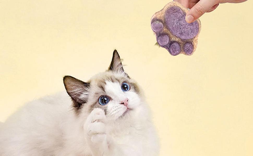 10pcs Paw Shaped Cat Snack Kittens Foods Treat Cat Oral Cleaning Snacks Cats Treat Selection Cats Grass Sticks For Indoor 5g 9 Cat Snacks Treats