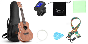 ukulele kit 