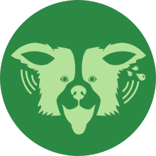 dog and cat ear cleaner